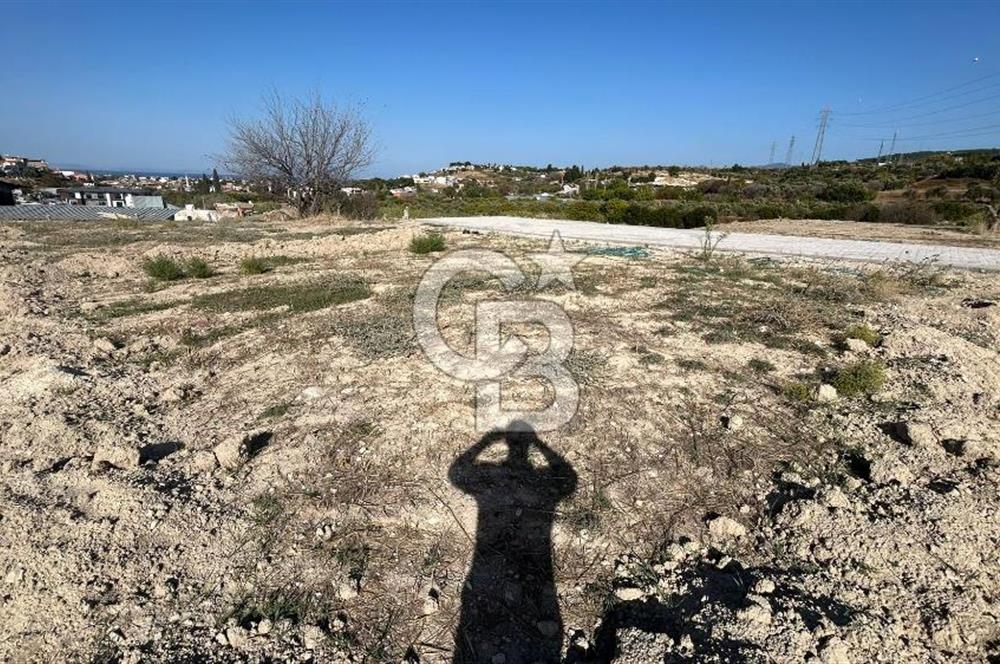 OPPORTUNITY COOPERATIVE LAND WITH SEA VIEW