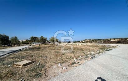 OPPORTUNITY COOPERATIVE LAND WITH SEA VIEW