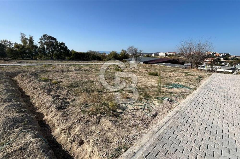 OPPORTUNITY COOPERATIVE LAND WITH SEA VIEW