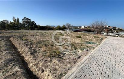 OPPORTUNITY COOPERATIVE LAND WITH SEA VIEW