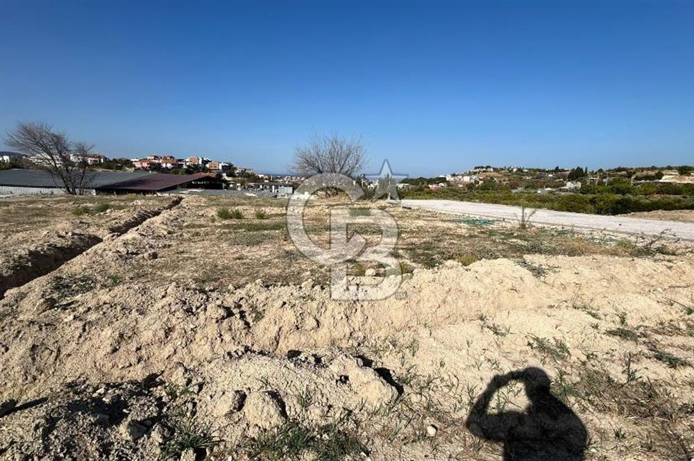 OPPORTUNITY COOPERATIVE LAND WITH SEA VIEW