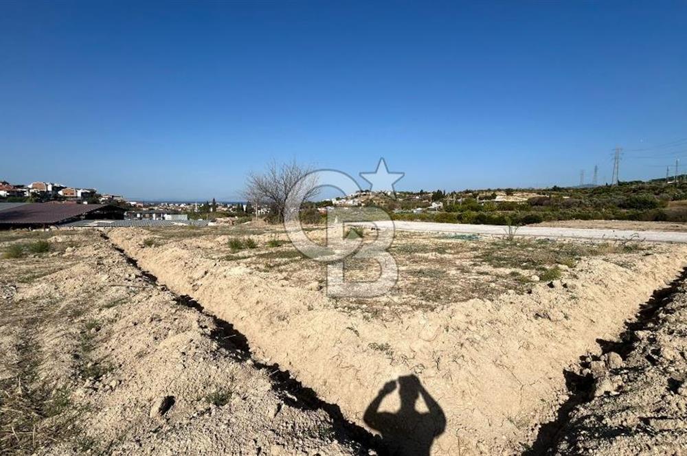 OPPORTUNITY COOPERATIVE LAND WITH SEA VIEW