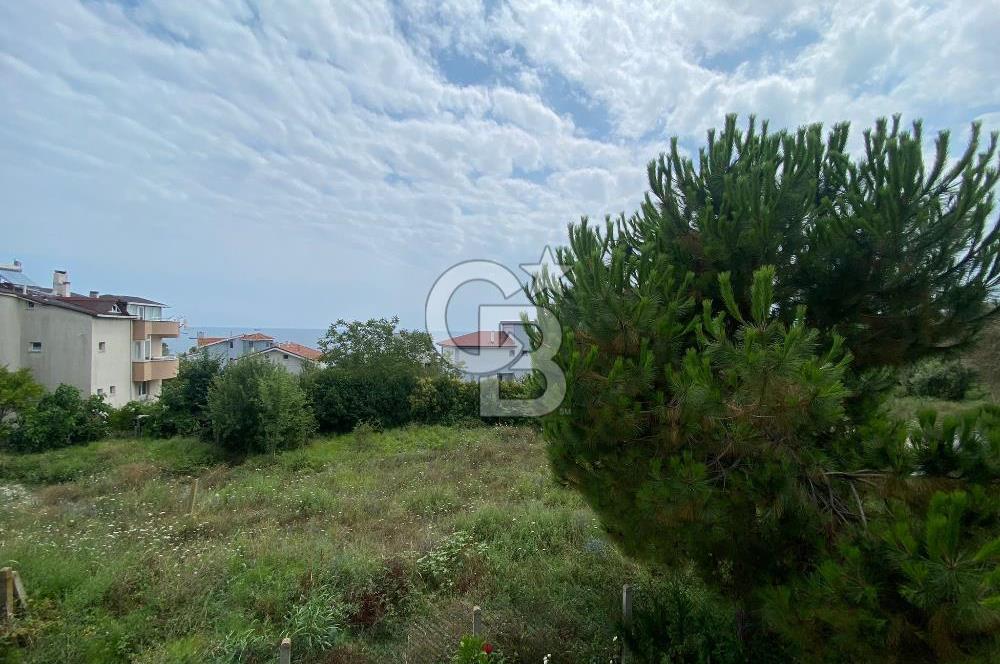 Sinop Korucuk Mevki Satılık Tripleks Villa