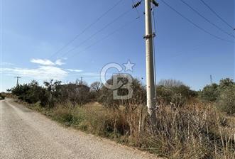 Menemen Buruncuk Çanakkale asfaltına cepheli satılık Tarla