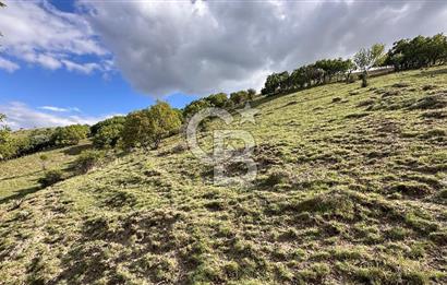 AKYURT KIZIK YOLA 2. PARSEL 7554 M2 TARLA