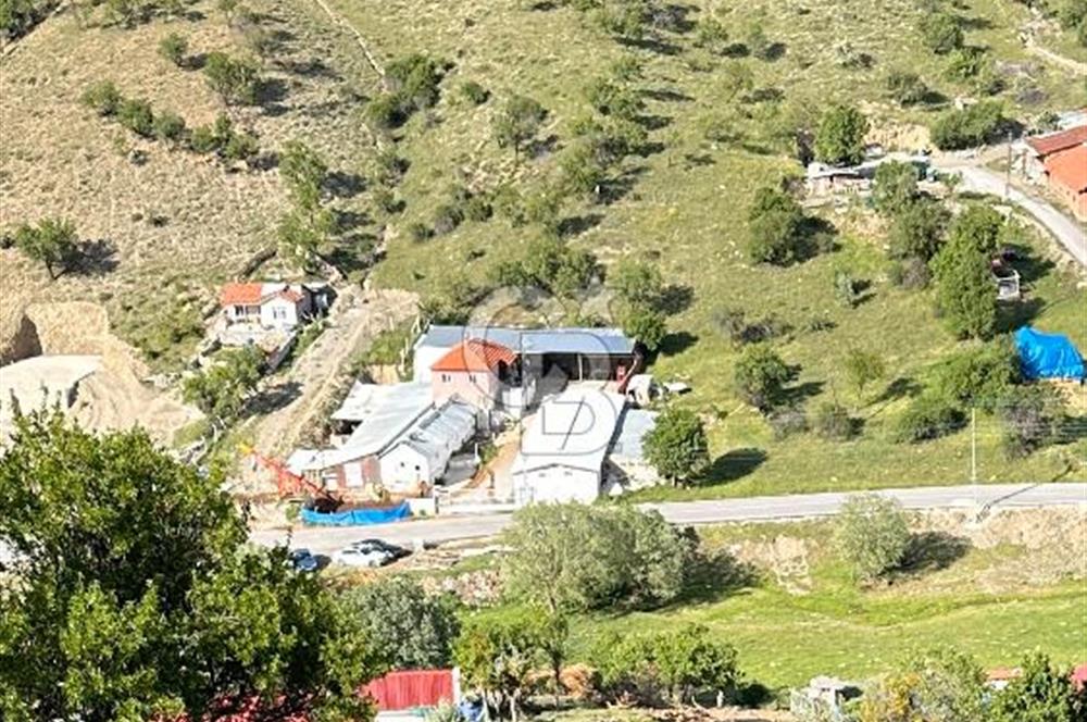 AKYURT KIZIK YOLA 2. PARSEL 7554 M2 TARLA