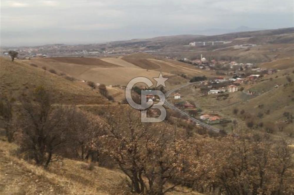 AKYURT KIZIK YOLA 2. PARSEL 7554 M2 TARLA