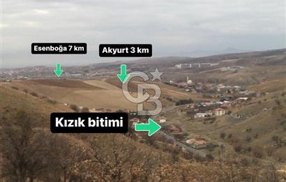 AKYURT KIZIK YOLA 2. PARSEL 7554 M2 TARLA