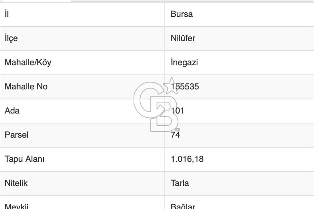 BURSA NİLÜFER İNEGAZİ de KÖY İÇİNDE SATILIK ARAZİ