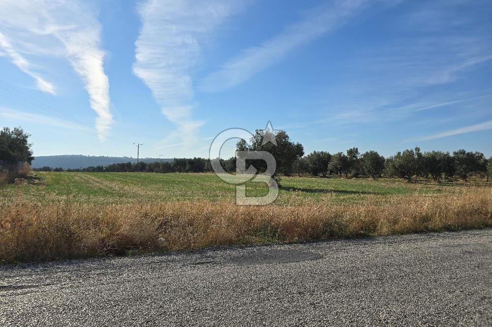 ÇANAKKALE /MERKEZ/ HALİLELİ KÖYÜN’DE SATILIK TARLA