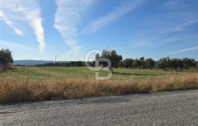 ÇANAKKALE /MERKEZ/ HALİLELİ KÖYÜN’DE SATILIK TARLA