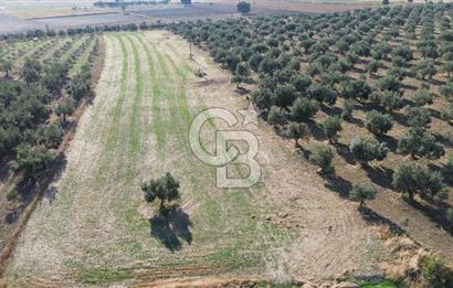 ÇANAKKALE /MERKEZ/ HALİLELİ KÖYÜN’DE SATILIK TARLA