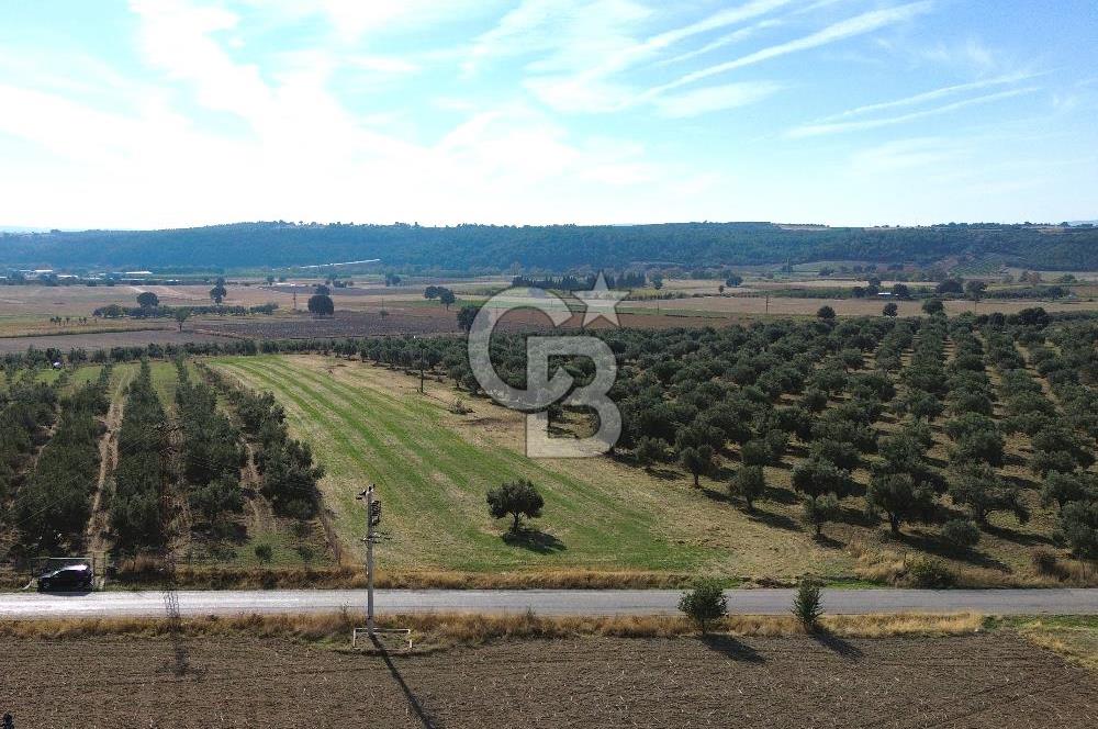 ÇANAKKALE /MERKEZ/ HALİLELİ KÖYÜN’DE SATILIK TARLA