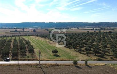 ÇANAKKALE /MERKEZ/ HALİLELİ KÖYÜN’DE SATILIK TARLA