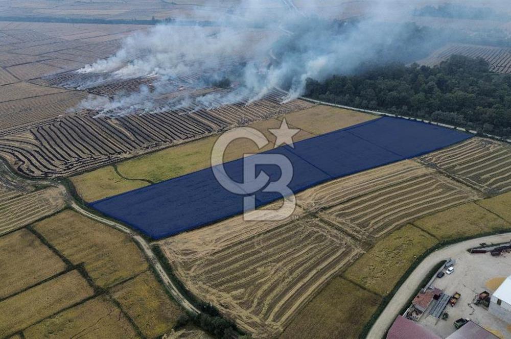 17100 m²lik Yeşil Alan Doğa ile Bütünleşin!