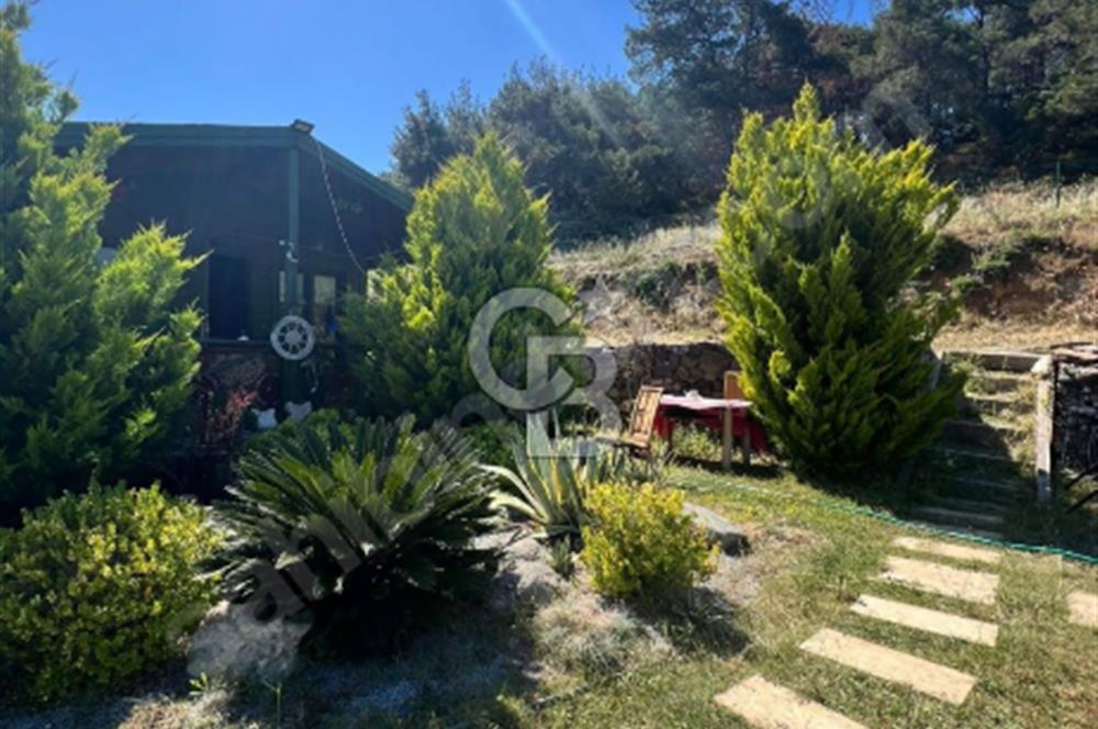 Ayvalık Cunda adasın da tarla vasıflı satılık arazi