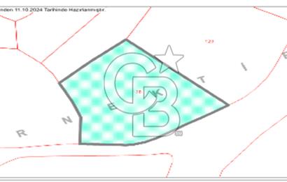 BALIKESİR KARESİ YAĞCILAR'DA SATILIK 3400 m² TARLA