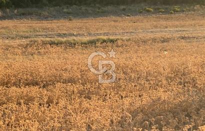 Urla Kalabak'ta 27 Dönüm Kadastral Yol Cepheli Satılık Tarla