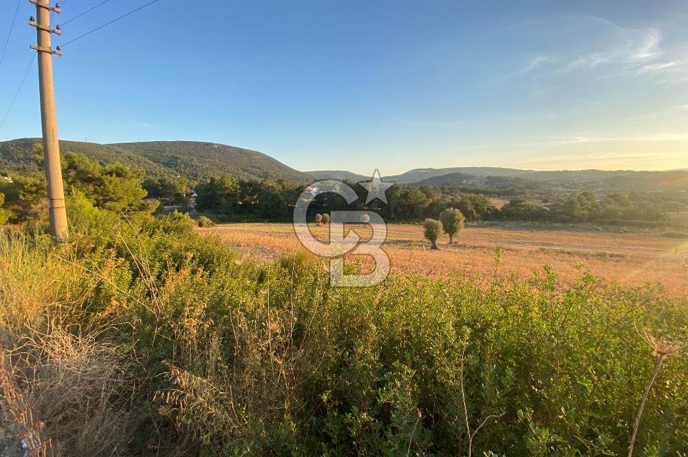 Urla Kalabak'ta 27 Dönüm Kadastral Yol Cepheli Satılık Tarla