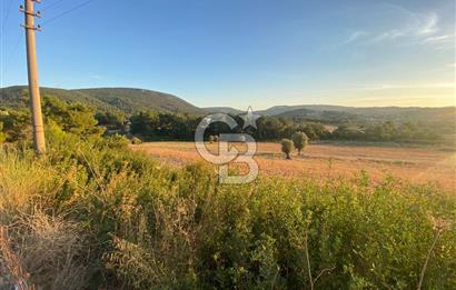 Urla Kalabak'ta 27 Dönüm Kadastral Yol Cepheli Satılık Tarla