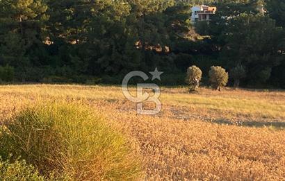 Urla Kalabak'ta 27 Dönüm Kadastral Yol Cepheli Satılık Tarla