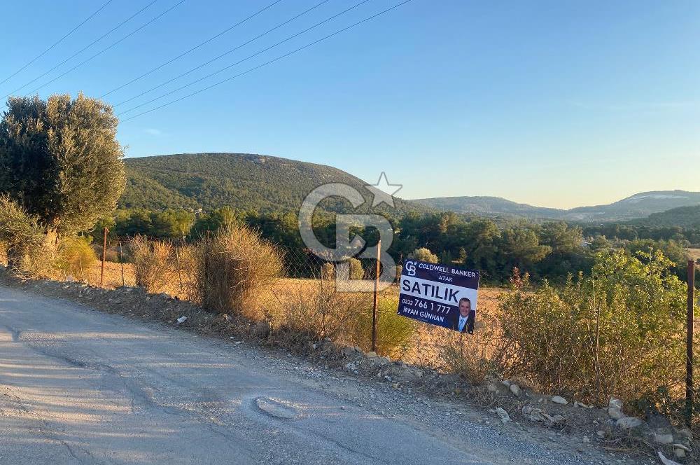 Urla Kalabak'ta 27 Dönüm Kadastral Yol Cepheli Satılık Tarla