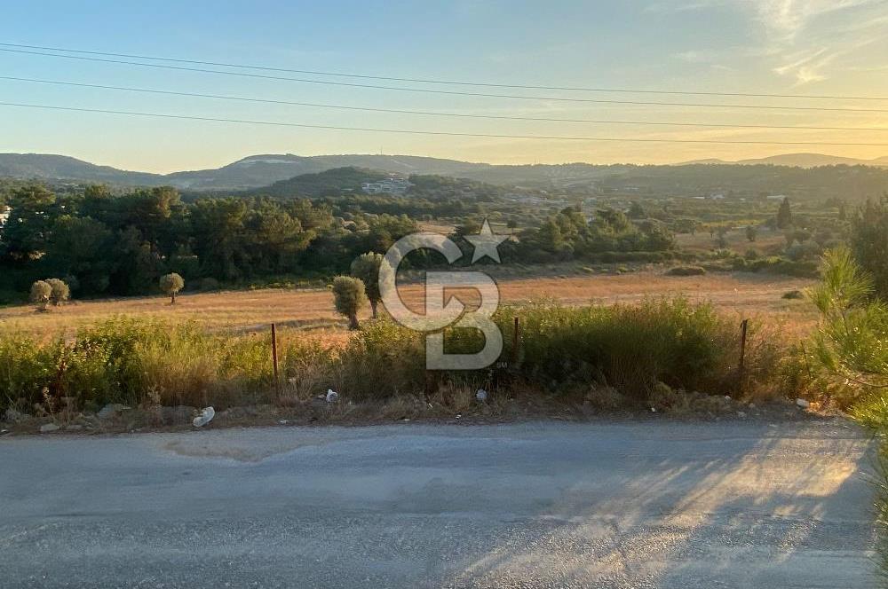 Urla Kalabak'ta 27 Dönüm Kadastral Yol Cepheli Satılık Tarla