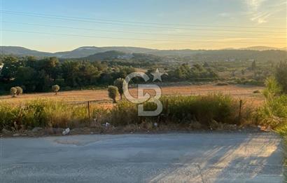 Urla Kalabak'ta 27 Dönüm Kadastral Yol Cepheli Satılık Tarla