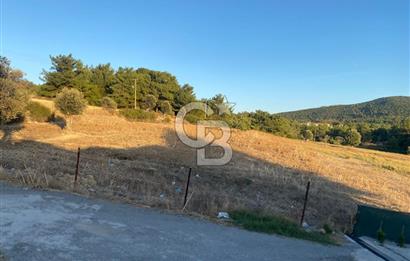 Urla Kalabak'ta 27 Dönüm Kadastral Yol Cepheli Satılık Tarla