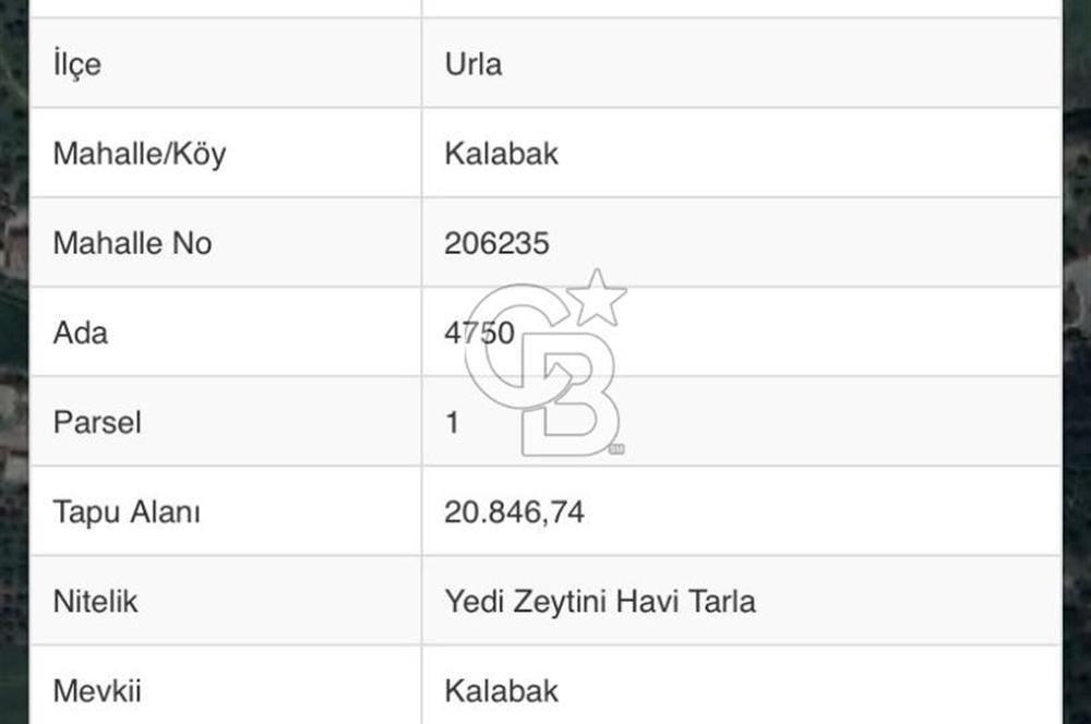 Urla Kalabak'ta 27 Dönüm Kadastral Yol Cepheli Satılık Tarla