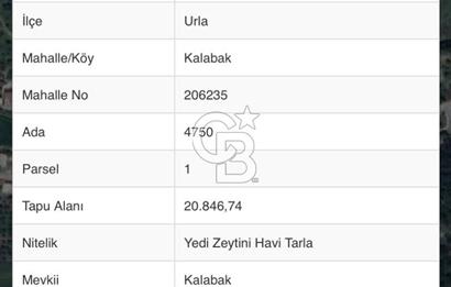 Urla Kalabak'ta 27 Dönüm Kadastral Yol Cepheli Satılık Tarla