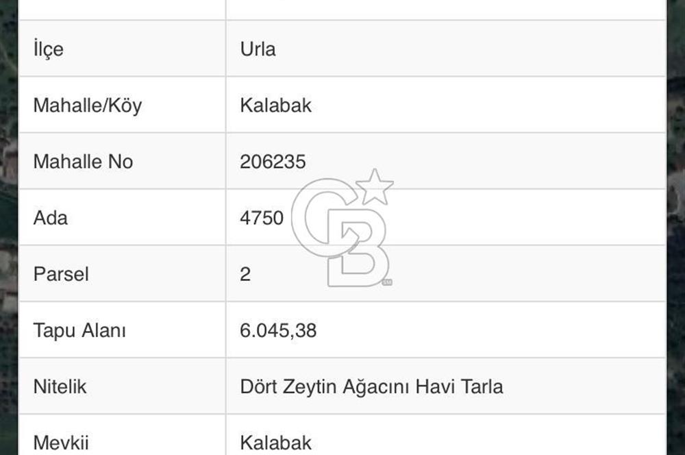 Urla Kalabak'ta 27 Dönüm Kadastral Yol Cepheli Satılık Tarla