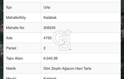 Urla Kalabak'ta 27 Dönüm Kadastral Yol Cepheli Satılık Tarla