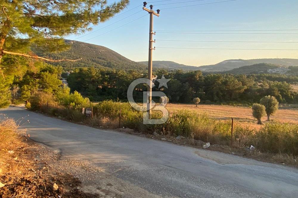 Urla Kalabak'ta 27 Dönüm Kadastral Yol Cepheli Satılık Tarla