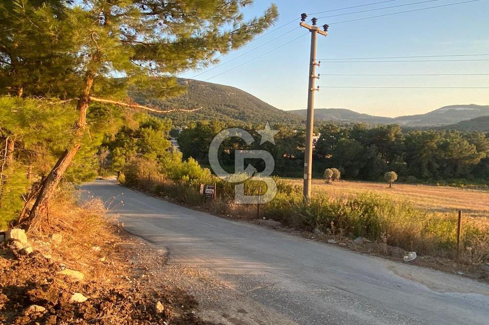 Urla Kalabak'ta 27 Dönüm Kadastral Yol Cepheli Satılık Tarla