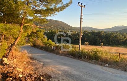 Urla Kalabak'ta 27 Dönüm Kadastral Yol Cepheli Satılık Tarla