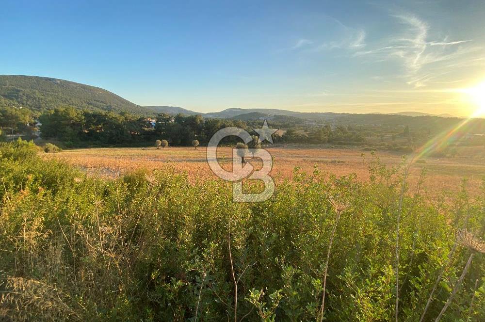 Urla Kalabak'ta 27 Dönüm Kadastral Yol Cepheli Satılık Tarla