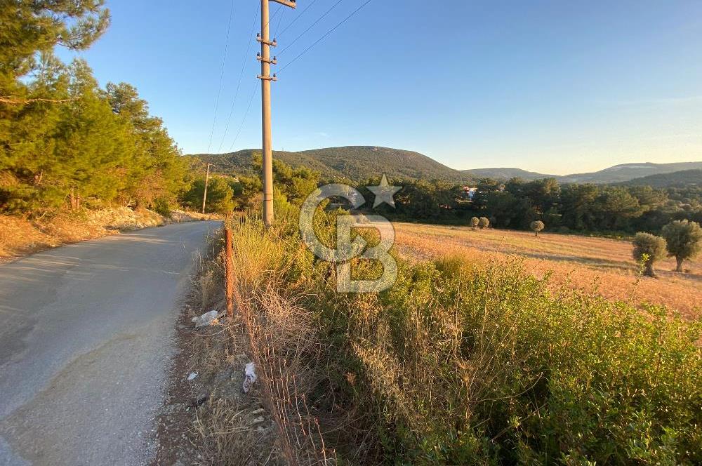 Urla Kalabak'ta 27 Dönüm Kadastral Yol Cepheli Satılık Tarla