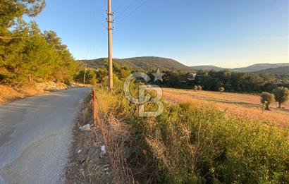 Urla Kalabak'ta 27 Dönüm Kadastral Yol Cepheli Satılık Tarla