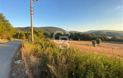 Urla Kalabak'ta 27 Dönüm Kadastral Yol Cepheli Satılık Tarla