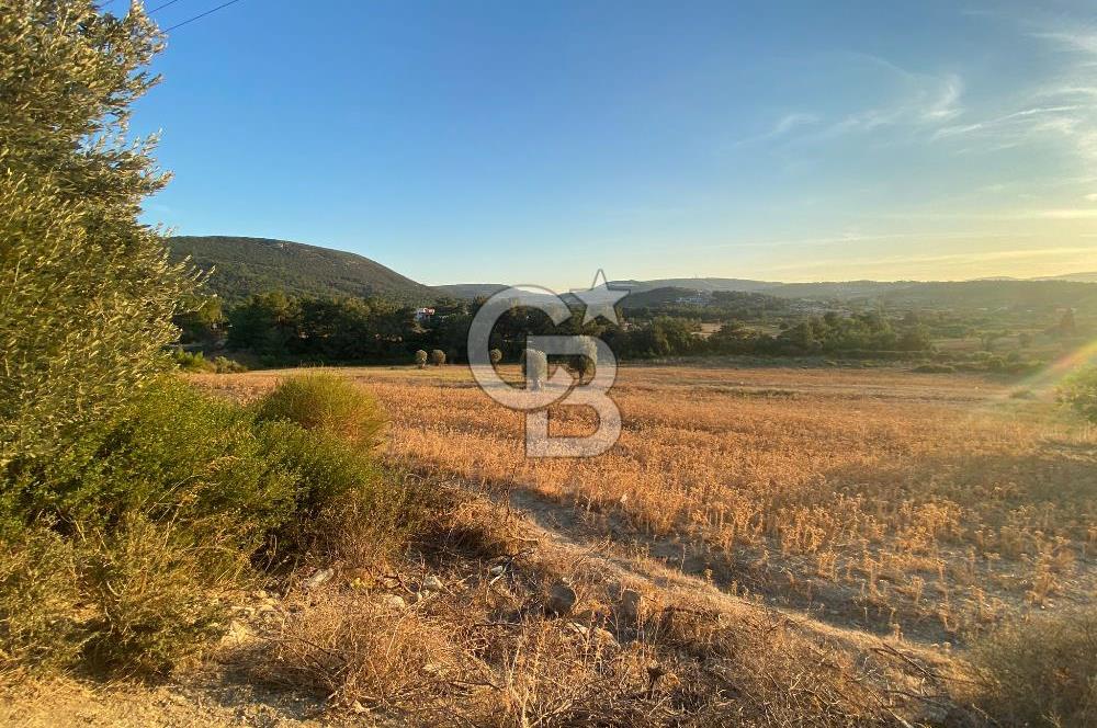 Urla Kalabak'ta 27 Dönüm Kadastral Yol Cepheli Satılık Tarla