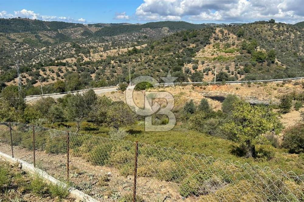 LAND IN SEFERIHISAR BEYLER VILLAGE