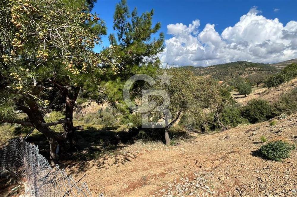 LAND IN SEFERIHISAR BEYLER VILLAGE