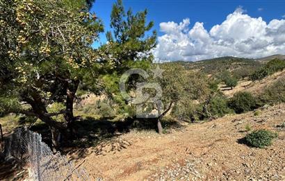 LAND IN SEFERIHISAR BEYLER VILLAGE