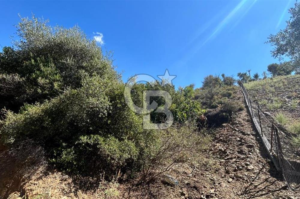 LAND IN SEFERIHISAR BEYLER VILLAGE