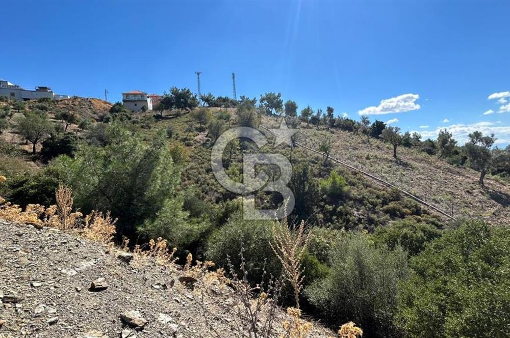 LAND IN SEFERIHISAR BEYLER VILLAGE