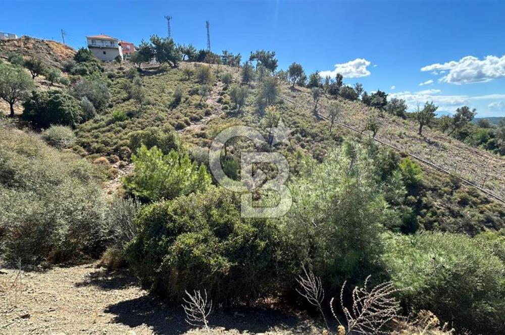 LAND IN SEFERIHISAR BEYLER VILLAGE