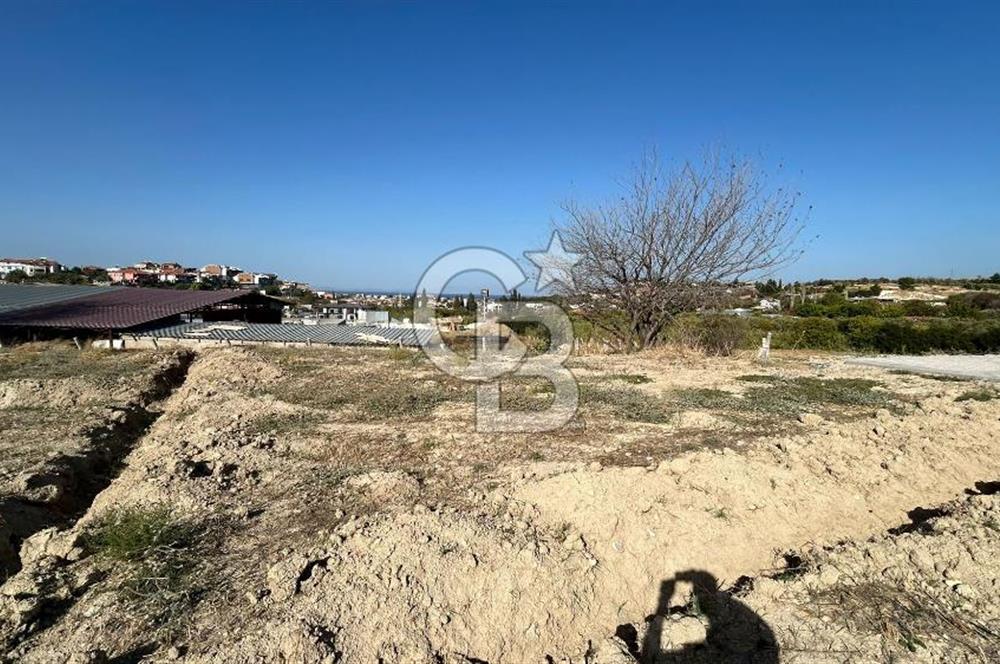 Opportunity cooperative land with amazing sea view.