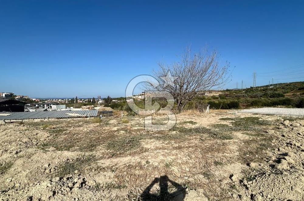 Opportunity cooperative land with amazing sea view.