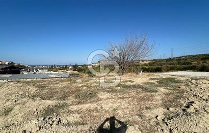 Opportunity cooperative land with amazing sea view.